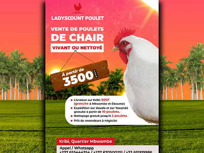 Flyer Ladyscount Poulet chiken flyer