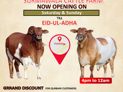 Cattle farm post (EID-UL-ADHA) cattle farm design eid post eid ul adha graphic design graphic post post