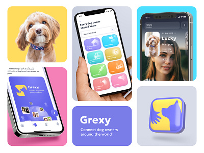 App for dog owners around the world branding colorful dog app dog care dog lovers dog owners logo pet social social app ui