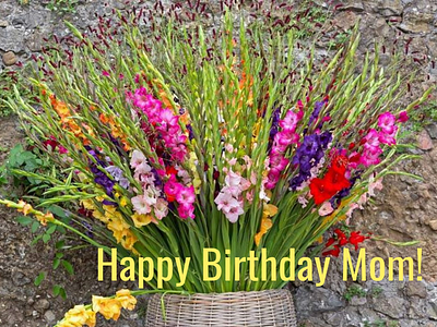 ❤️Happy Birthday Mom! animated svg animation beginners animation birthday girl birthday greeting birthday mom birthday slideshow design flowers flowers slideshow happy bithday illustration lovely slideshow mothers day slideshow svg svgator ui