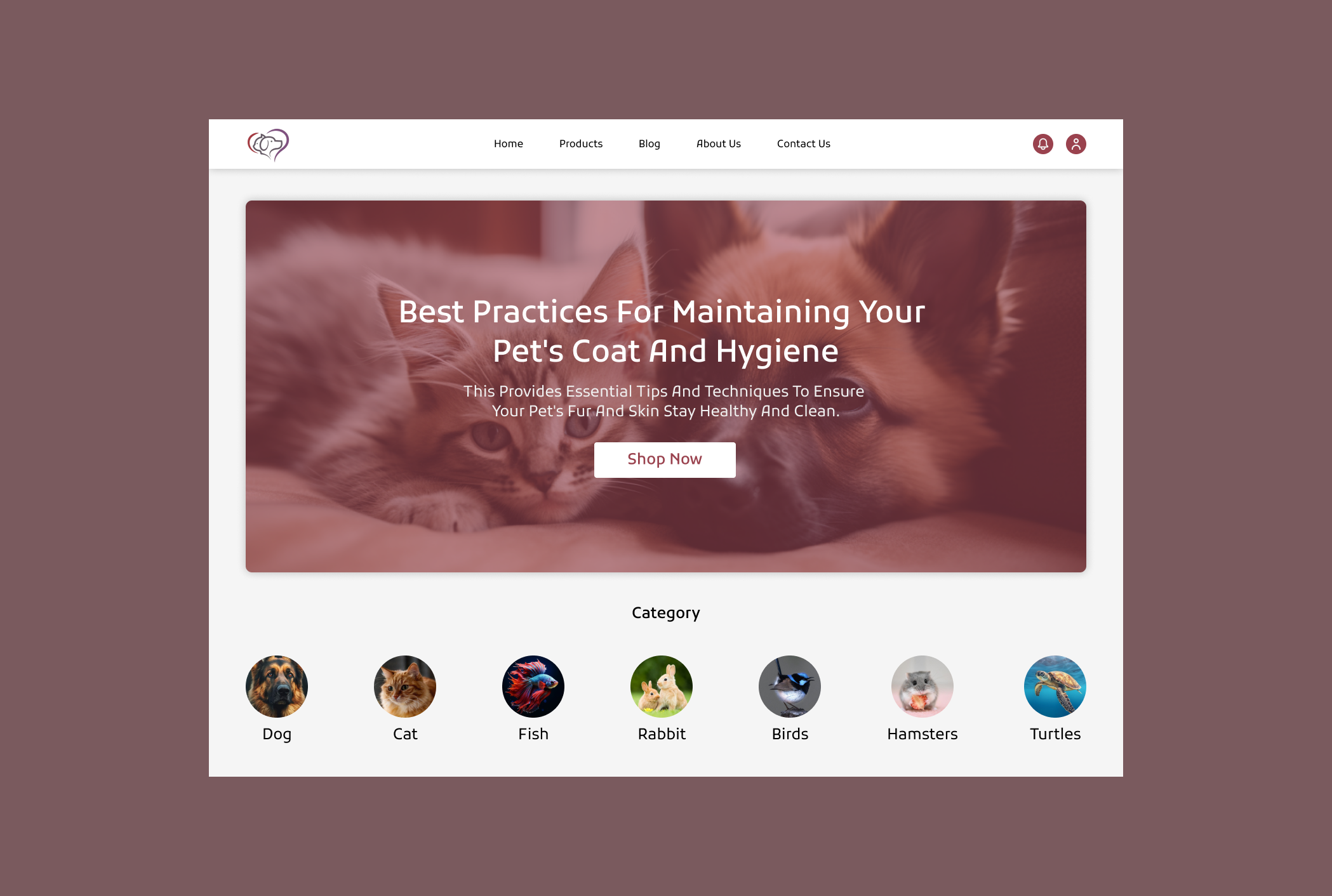 Pet Care Website Template figma design pet care web pet care website pet care website template ui design website design website template website template ui
