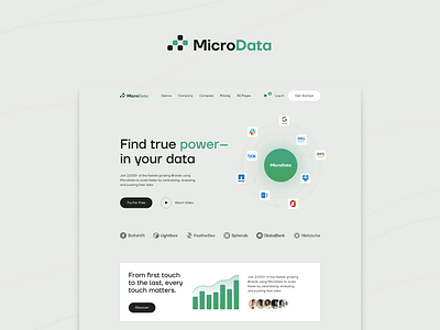 Microdata saas design webdesign webdesigners webflow webflow design webflow designers webflow saas template webflow template website design website template