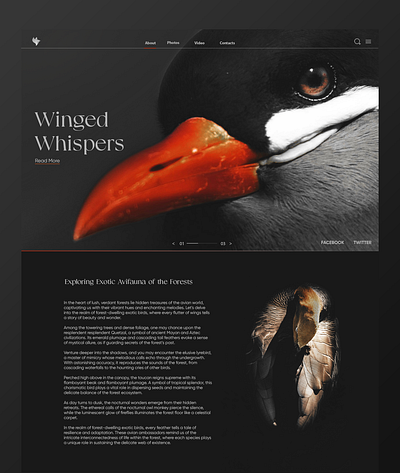 Winged Whispers graphic design ui ux web design