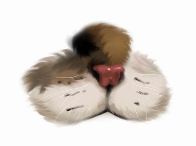 Fur Study-Digital Art artist design digital art illustration procreate