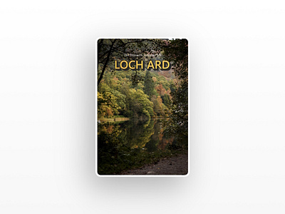 A postcard from Loch Ard - Part II branding edinburgh forest photo photography postcard scotland shadow stirling trees type typography uk