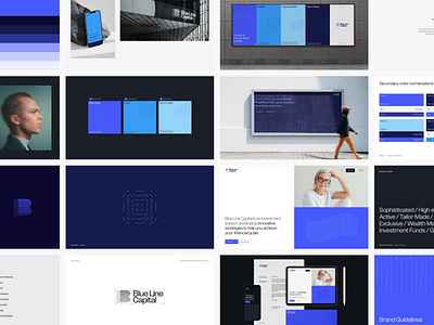 Blue Line Capital agency branding branding guidelines graphic design identity logo ui ux website