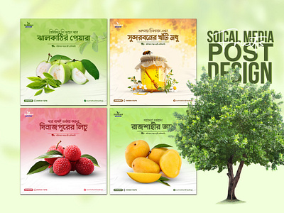 Fruits Poster Design ad banner ad design advertising design facebook post design fruit post design fruits post design fruits poster instagram post design mango poster mango poster design product design social media banner design social media post social media post design