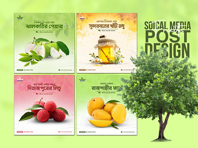 Fruits Poster Design ad banner ad design advertising design facebook post design fruit post design fruits post design fruits poster instagram post design mango poster mango poster design product design social media banner design social media post social media post design