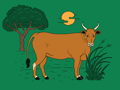 Curraleiro Pé-Duro animal bovine breed bull cattle cow dairy farm flat green illustration livestock milk minimal simple