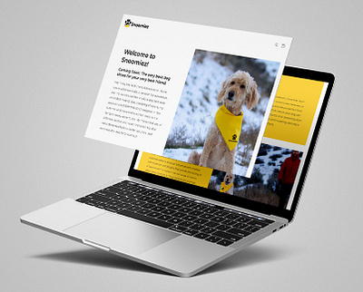 Shopify e-commerce site for pet brand e commerce shopify web design website design