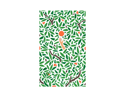 Alzira alzira drawing fruits illustration illustrator leafs orange procreate spain tree valencia