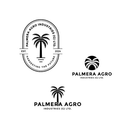 Palmera arbic palm logo branding design flat graphic design illustration logo minimal palm logo palmera logo ui ux vector