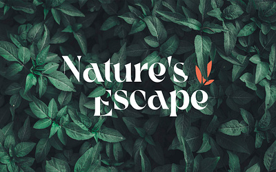 NATURE'S ESCAPE | BRAND IDENTITY AND LOGO DESIGN beauty makeup modern logo design skincare