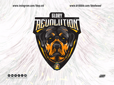 Rotweiller dog logo mascot gaming design graphic design illustration logo vector