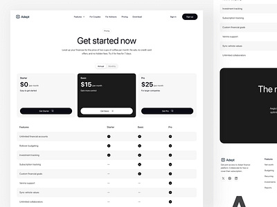 Pricing Page - SaaS UI/UX Design header minimal pricing page saas ui ux website