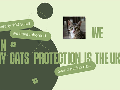 Cats Protection | Сorporate Website | UI/UX Design animation design ui ux web