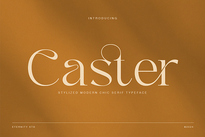 Caster Modern Chic Serif branding graphic design modern