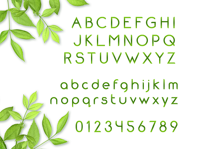 Arboretum font 7 branding eco friendly environment fonts green leafy logo typography