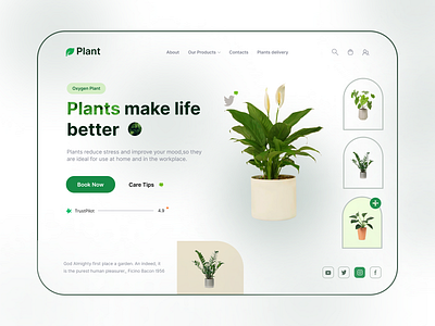 Plant website design hero section plants ui website design