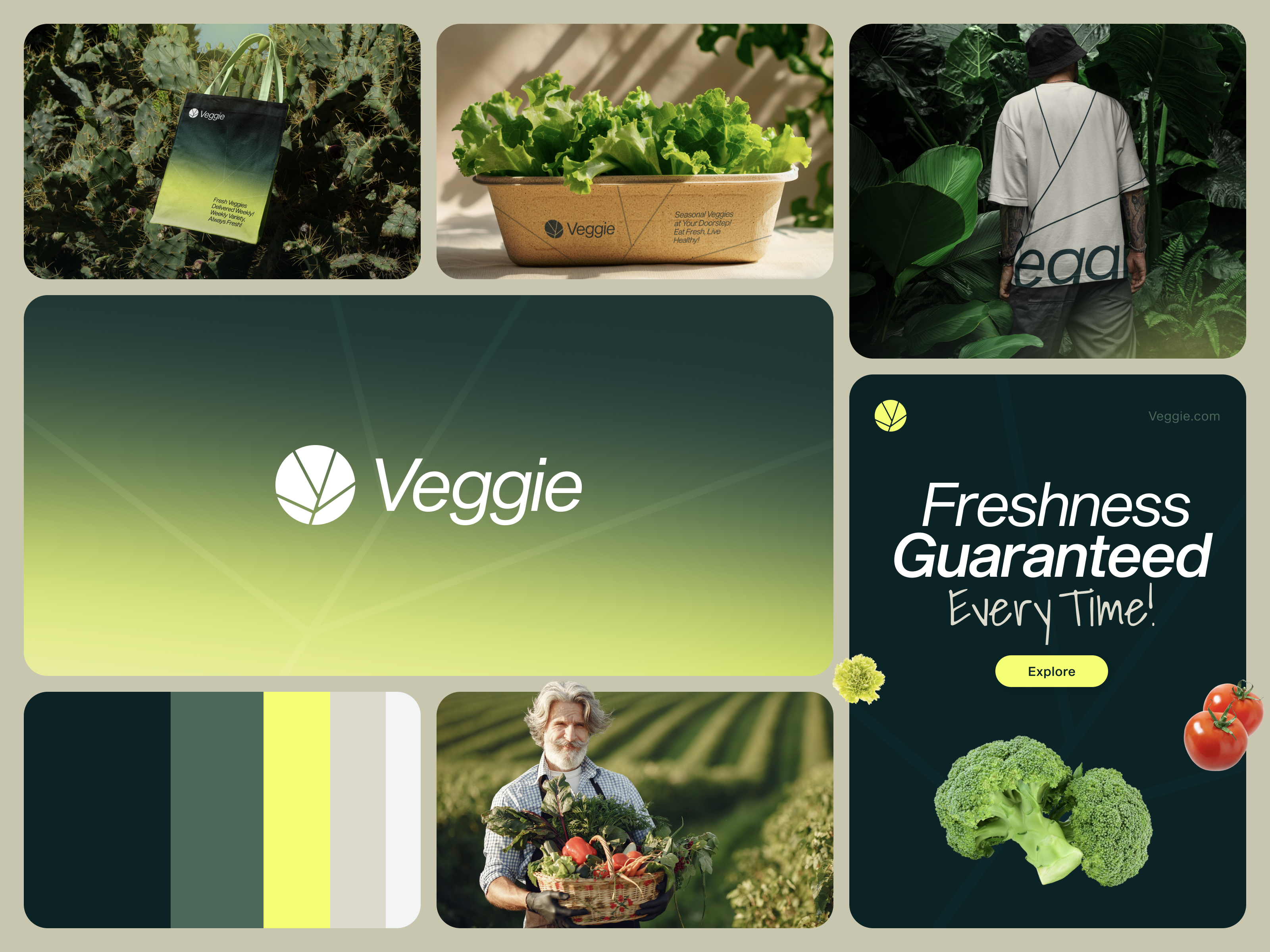 Veggie - Brand Identity for Vegetable Shop brand brand book brand design brand guideline brand identity branding colors delivery graphic design green identity illustration logo logo mark logos logotype packaging vector vegetable vegetableshop