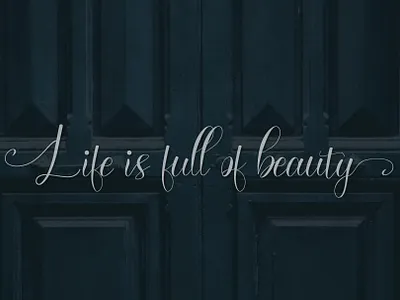 Life is full of beauty - diary handwritting script font beauty beauty font design font free font handwritten handwritten font illustration inspiration jrray studio jrraystudio new qoutes script font spa trendy trendy font typography