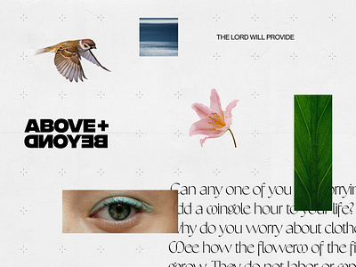 A+B bird collage color design eye flower font graphic design illustration leaf minimal photography photos simple texture type typography