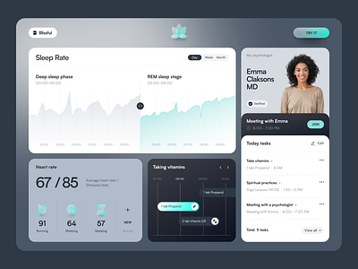 Blissful Dashboard design interface product service startup ui ux web website