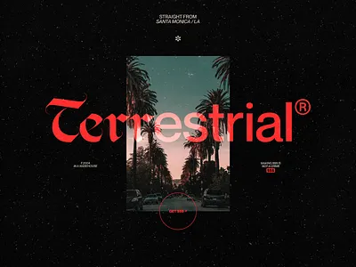 Terrestrial® / Visual Identity branding logo minimal type typography visual