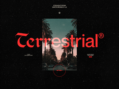 Terrestrial® / Visual Identity branding logo minimal type typography visual