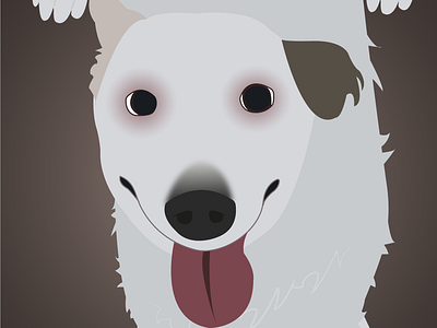 Doge Criss animation graphic design ills vector