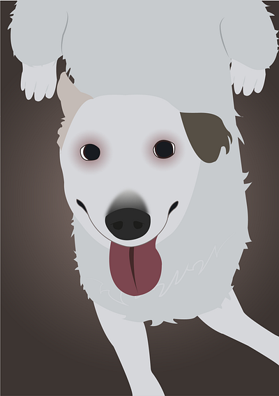 Doge Criss animation graphic design ills vector