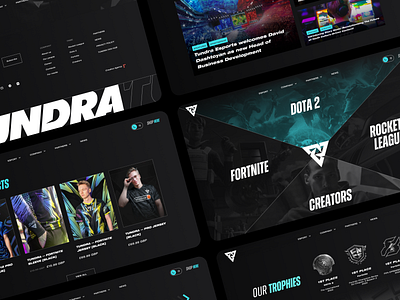 Landing page UI 2d blue business dark design esport footer gaming header landing page monochrom navigation news sections switch teams tundra ui ux videos