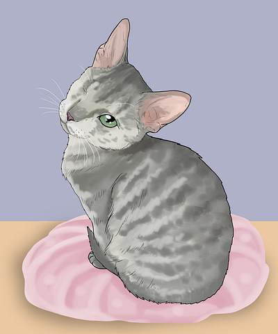 rescued kitten adopt a cat cute digital illustration pet portrait realistic drawing
