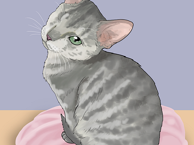 rescued kitten adopt a cat cute digital illustration pet portrait realistic drawing