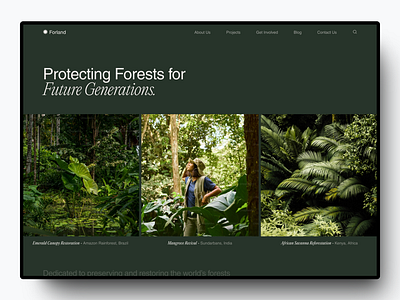 Forland - Forest Conservation Organization branding conversation design forest graphic design green illustration landing page nature ngo ui web design website