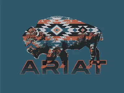 SW Bison aztec bison buffalo graphic design illustration southwest tee shirt western