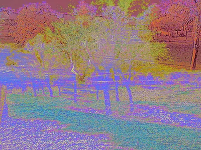 Surreal landscape colorful digital art illustration landscape strange trees