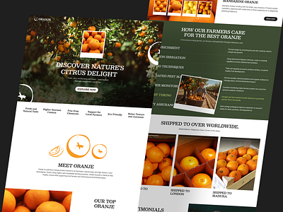 Oranje - Orange Distributor Landing Page brutalism distributor farm farming fruit garden gardening grocery juice landing page lime orange package ship shop ui design uiux web design