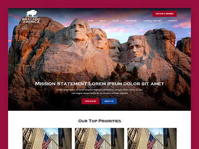 Bravado America // Web Design america bravado election government law legislation non profit web design