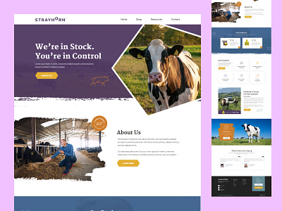 Cow Care - Animal Care Website Design agriculture animal care cow creative responsive ui ux village