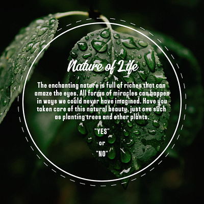 Nature of Life graphic design