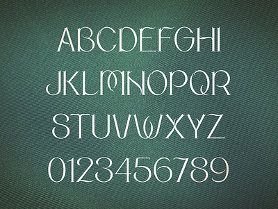 Magnifique font 9 decorative