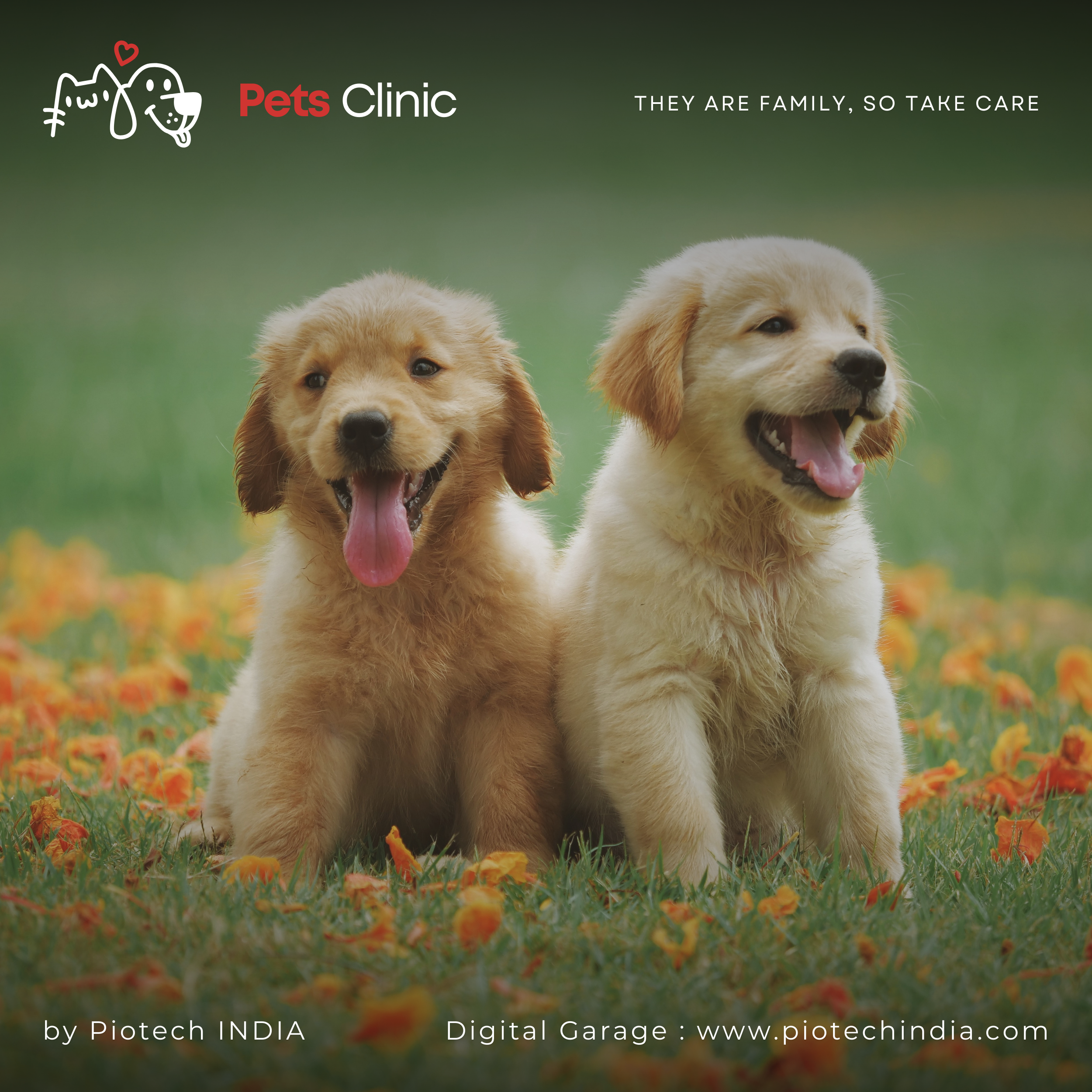 PetsCare - They are Family, So take Care branding design graphic design logo logo design pet care pets clinic piotech india website