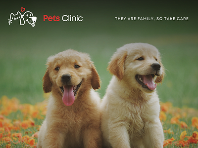 PetsCare - They are Family, So take Care branding design graphic design logo logo design pet care pets clinic piotech india website