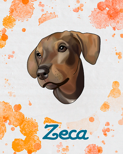 Zeca animation art arte artwork digitalart dog illustration