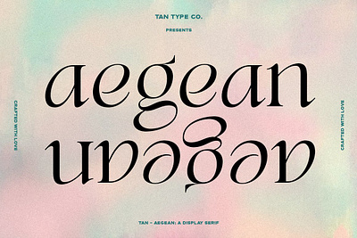 TAN - AEGEAN edgy font fashion fashion font fashionable font hipster font modern typography retro font serif serif display serif font serif typeface tan aegean unique font