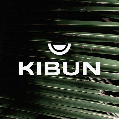 Kibun - Brand Identity Design 3d brand branding color design graphic design logo vector visual