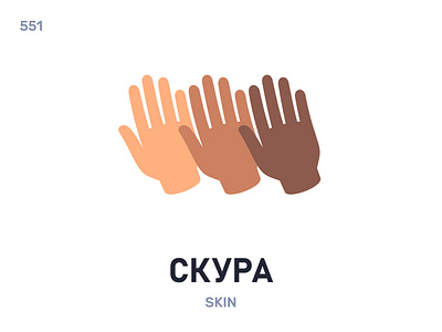 Скýра / Skin belarus belarusian language daily flat icon illustration vector word