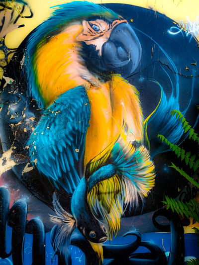 Ο παπαγάλος - The parrot athens photography illustration photoshop street art wall design αθήνα σχέδιο τοιχογραφία φωτογραφία