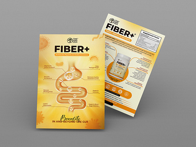 Probiotic Probiotic Visual Aid Design bacte bacteria drop card flyer graphic design gut health literature medical nutraceutical pharma pharma visual aid prebiotic probiotic visual aid